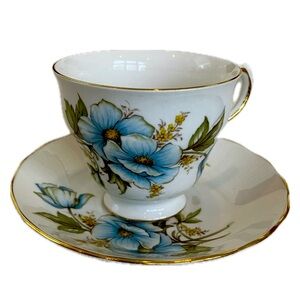 Queen Anne bone China teacup & saucer, Wild Blue Roses, #8618, blue/green/white